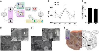 Contribution of the subthalamic nucleus to motor, cognitive and limbic processes: an electrophysiological and stimulation study in monkeys